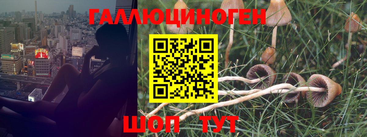 Псилоцибиновые грибы Psilocybine cubensis  Вход с VPN  Галлюциногенные грибы Psilocybe  Иваново 